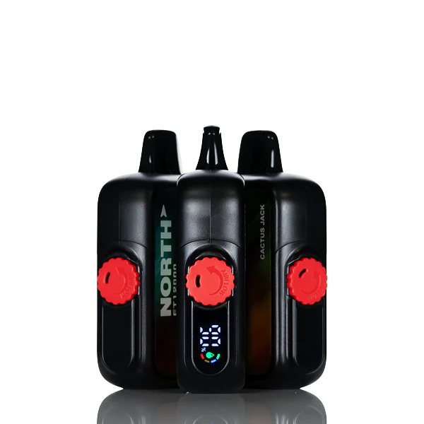 North FT12K 12000 Puffs Disposable Vape