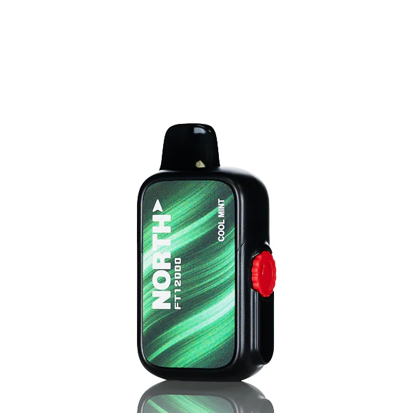 North FT12K 12000 Puffs Disposable Vape - Image 12