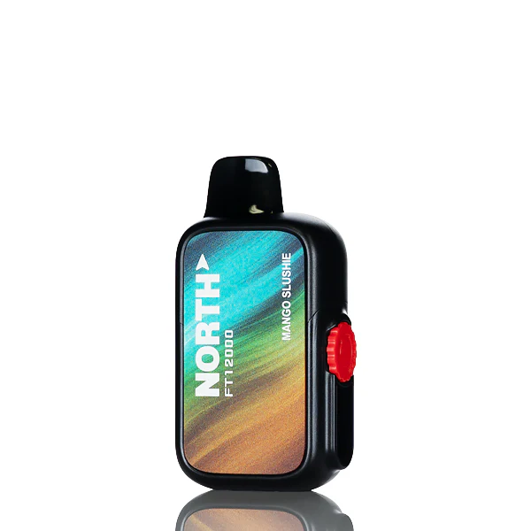North FT12K 12000 Puffs Disposable Vape - Image 15