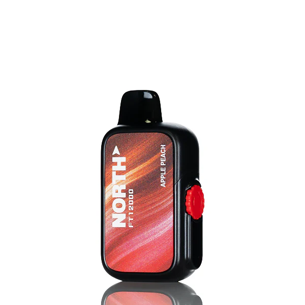 North FT12K 12000 Puffs Disposable Vape - Image 6