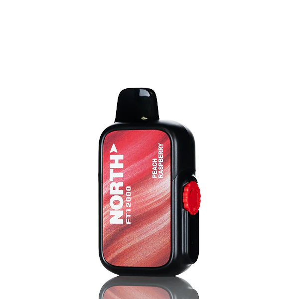 North FT12K 12000 Puffs Disposable Vape - Image 7