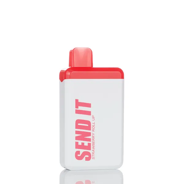 Send It 5000 Puffs Rechargeable Disposable Vape - 12ML (DISCONTINUED) - Image 18