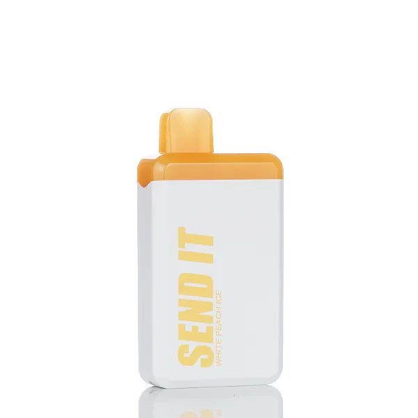 Send It 5000 Puffs Rechargeable Disposable Vape - 12ML (DISCONTINUED) - Image 20